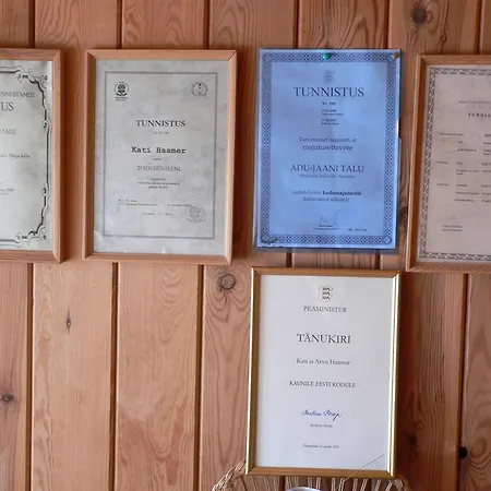 Adu-jaani Kodumajutus 3*