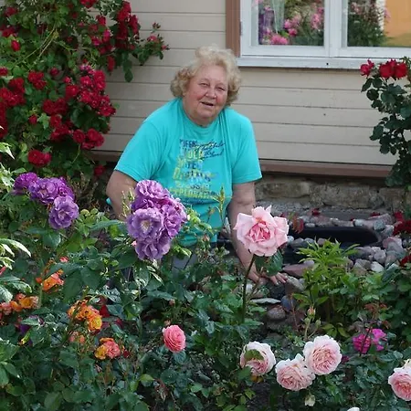 Bed & Breakfast Adu-jaani Kodumajutus 3*