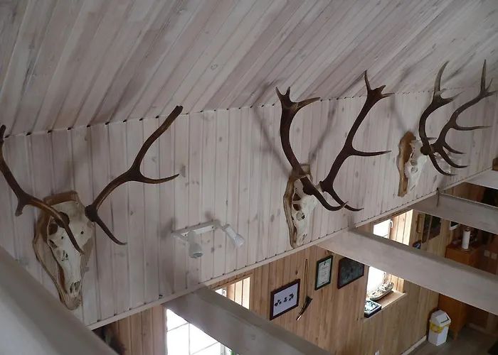 Nocleg ze śniadaniem Adu-jaani Kodumajutus