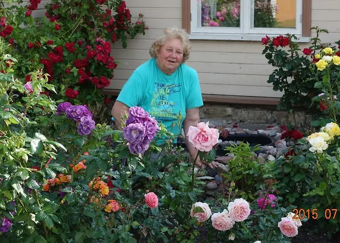 Nocleg ze śniadaniem Adu-jaani Kodumajutus 3*